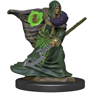D&D Premium Painted Figure: W5 Male Elf Druid
