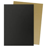 Dragon Shield Sleeves: Matte Dual - Black & Gold (100)