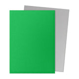 Dragon Shield Sleeves: Matte Dual - Apple Green & Silver (100)