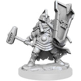 D&D Frameworks: W1 Female Dwarf Cleric