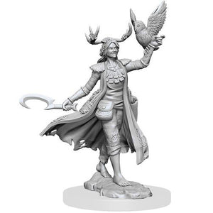 D&D Frameworks: W1 Female Human Druid