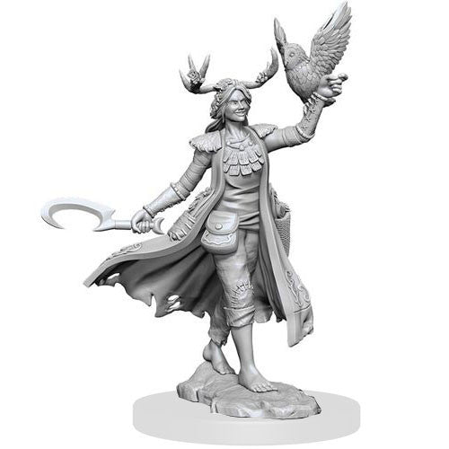 D&D Frameworks: W1 Female Human Druid