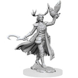 D&D Frameworks: W1 Female Human Druid
