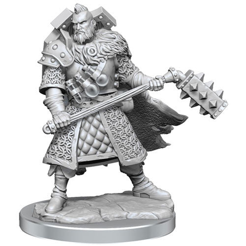 D&D Frameworks: W1 Male Human Fighter