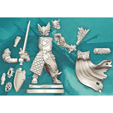 D&D Frameworks: W1 Male Dragonborn Paladin