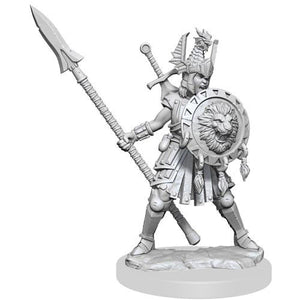 D&D Frameworks: W1 Female Human Fighter