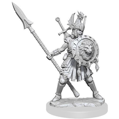D&D Frameworks: W1 Female Human Fighter