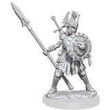 D&D Frameworks: W1 Female Human Fighter