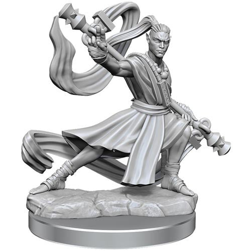 D&D Frameworks: W1 Male Elf Monk