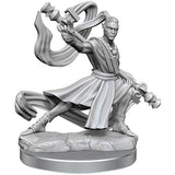 D&D Frameworks: W1 Male Elf Monk