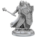 D&D Frameworks: W1 Male Human Cleric