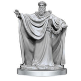 Wizkids Deep Cuts Unpainted Minis: W17 Brigante Celts