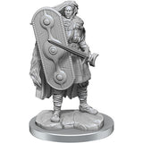Wizkids Deep Cuts Unpainted Minis: W17 Brigante Celts