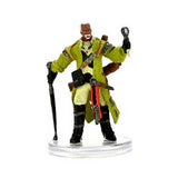 Pathfinder Battles Miniatures: Advanced Iconic Heroes