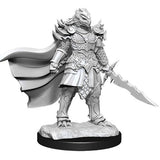 D&D Nolzur's Marvelous Unpainted Minis: W15 Female Dragonborn Fighter