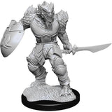 D&D Nolzur's Marvelous Unpainted Minis: W15 Male Dragonborn Fighter