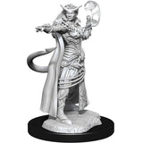 D&D Nolzur's Marvelous Unpainted Minis: W15 Female Tiefling Sorcerer