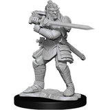 D&D Nolzur's Marvelous Unpainted Minis: W15 Hobgoblin Fighter & Wizard