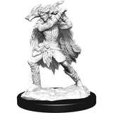 D&D Nolzur's Marvelous Unpainted Minis: W15 Winter & Spring Eladrin