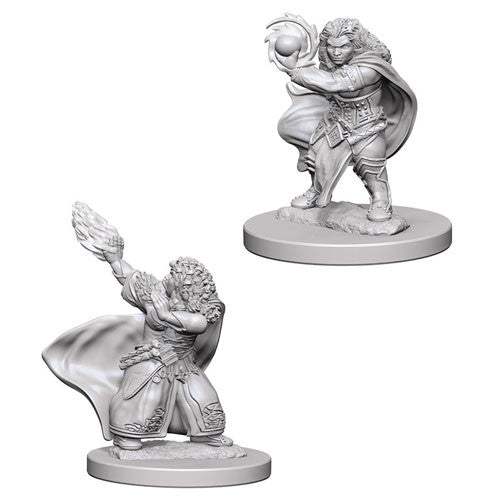 D&D Nolzur's Marvelous Unpainted Minis: W4 Dwarf Female Wizard