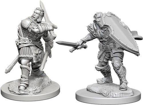 D&D Nolzur's Marvelous Unpainted Minis: W3 Human Male Paladin