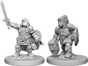D&D Nolzur's Marvelous Unpainted Minis: W3 Female Dwarf Paladin