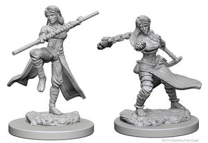 D&D Nolzur's Marvelous Unpainted Minis: W1 Human Female Monk