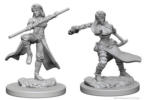 D&D Nolzur's Marvelous Unpainted Minis: W1 Human Female Monk