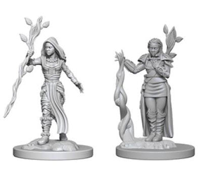 D&D Nolzur's Marvelous Unpainted Minis: W2 Human Female Druid