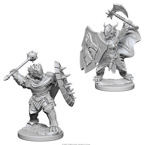 D&D Nolzur's Marvelous Unpainted Minis: W4 Dragonborn Male Paladin