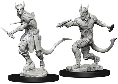 D&D Nolzur's Marvelous Unpainted Minis: W5 Tiefling Male Rogue