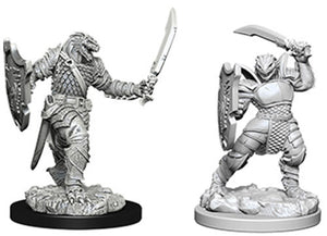 D&D Nolzur's Marvelous Unpainted Minis: W5 Dragonborn Female Paladin