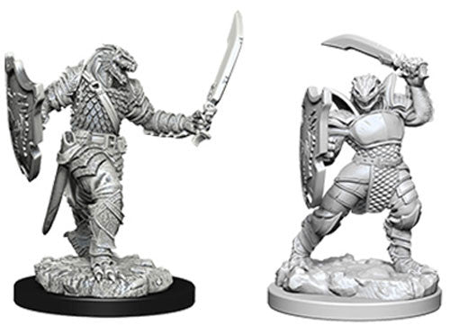D&D Nolzur's Marvelous Unpainted Minis: W5 Dragonborn Female Paladin