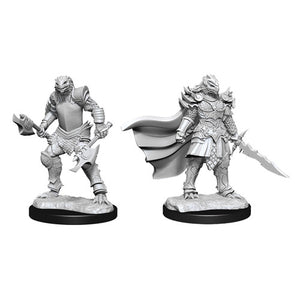 D&D Nolzur's Marvelous Unpainted Minis: W15 Female Dragonborn Fighter