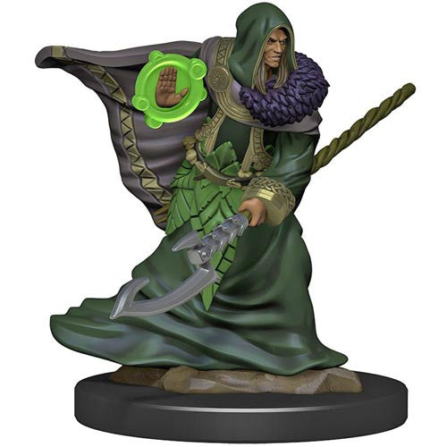 D&D Premium Painted Figure: W5 Male Elf Druid