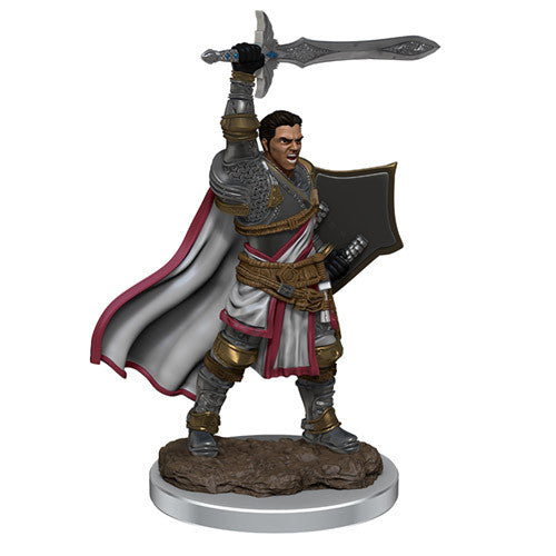 D&D Premium Painted Figure: W7 Male Human Paladin