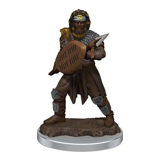 D&D Premium Painted Figure: W7 Male Human Fighter